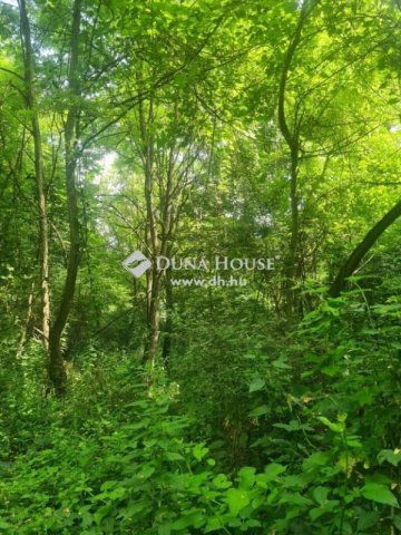 Eladó telek, Regenyén 3.5 M Ft / költözzbe.hu