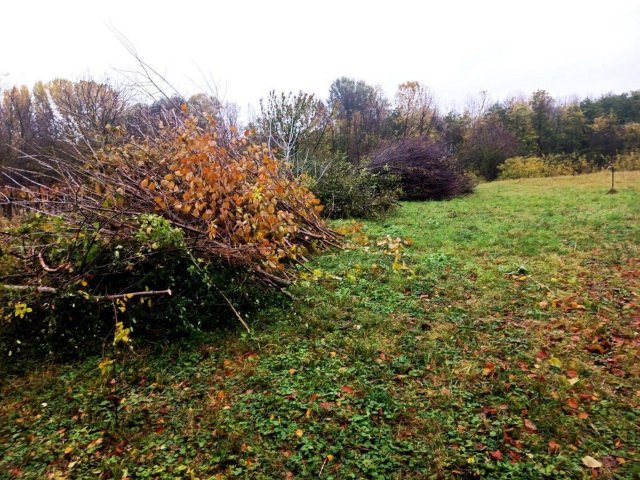 Eladó telek, Balatonszárszón 34 M Ft / költözzbe.hu