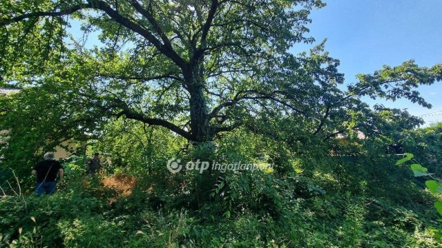 Eladó telek, Kulcson 17.5 M Ft / költözzbe.hu