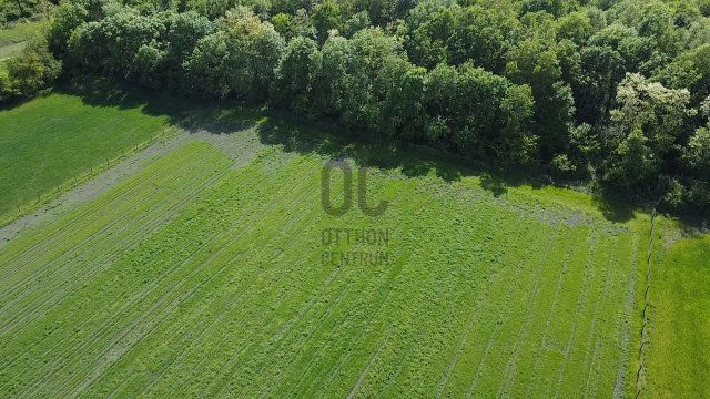 Eladó mezogazdasagi ingatlan, Mosonmagyaróváron 65 M Ft