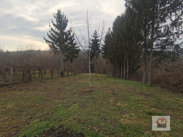 Eladó telek, Vasváron 8.8 M Ft / költözzbe.hu