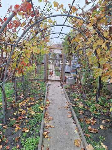 Eladó családi ház, Lakon 149.9 M Ft, 4 szobás