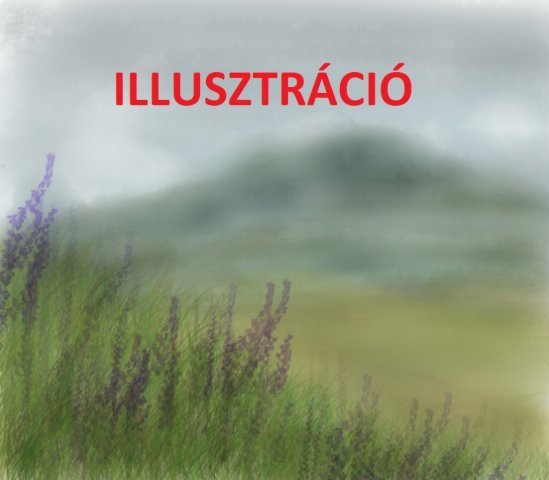 Eladó telek, Kecskeméten 48 M Ft / költözzbe.hu