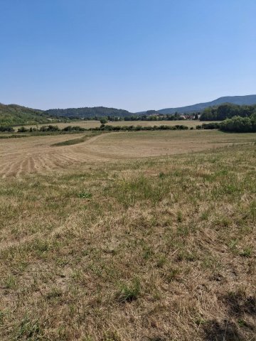 Eladó telek, Recsken 5 M Ft / költözzbe.hu