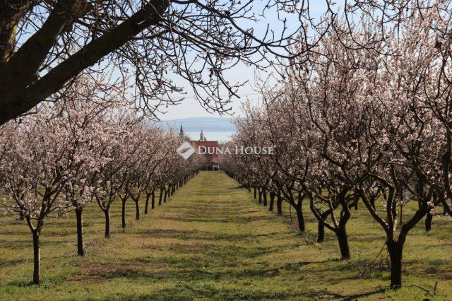 Eladó telek, Balatonakaliban 39.9 M Ft / költözzbe.hu