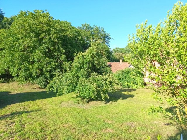 Eladó telek, Zalaszentgróton 6 M Ft / költözzbe.hu