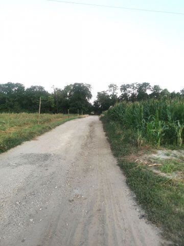 Eladó telek, Zamárdiban 82.5 M Ft / költözzbe.hu