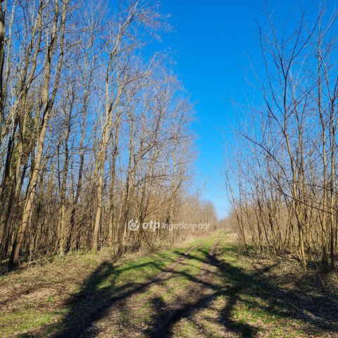 Eladó mezogazdasagi ingatlan, Inkén 32 M Ft / költözzbe.hu