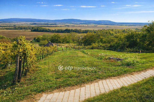 Eladó mezogazdasagi ingatlan, Mindszentkállán 10.5 M Ft