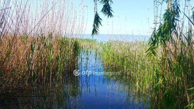 Eladó telek, Balatonalmádiban 5 M Ft / költözzbe.hu