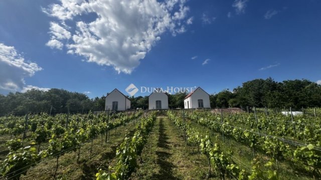 Eladó családi ház, Paloznakon 279 M Ft, 3 szobás