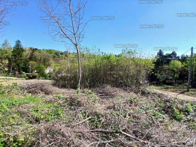 Eladó telek, Szentendrén 48 M Ft / költözzbe.hu