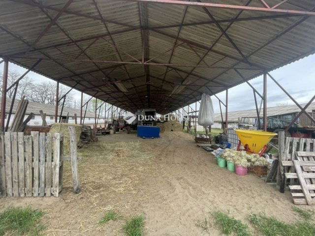 Eladó mezogazdasagi ingatlan, Domaszéken 160 M Ft