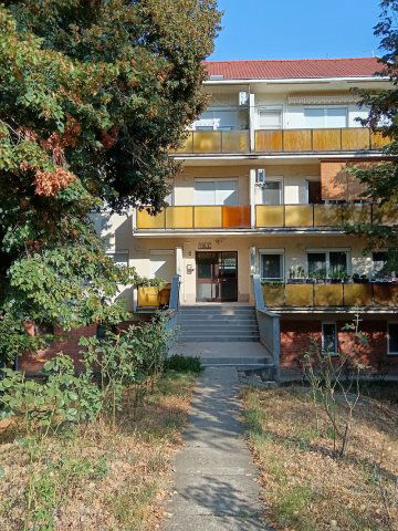 Eladó téglalakás, Szegeden, Alsó kikötő soron 27.5 M Ft