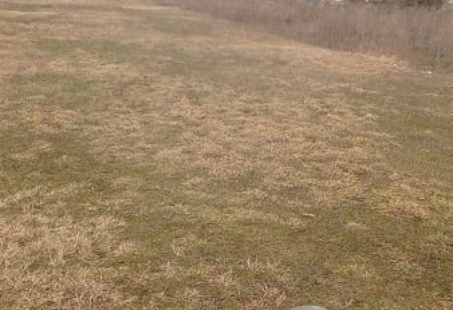 Eladó telek, Dabason 8.9 M Ft / költözzbe.hu