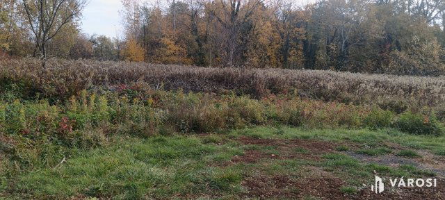 Eladó telek, Dömsödön 14.5 M Ft / költözzbe.hu