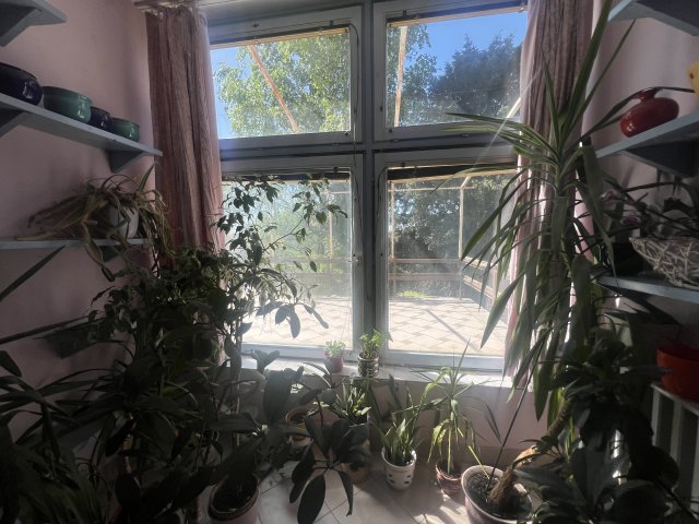 Eladó családi ház, Szegeden 85.6 M Ft, 5 szobás