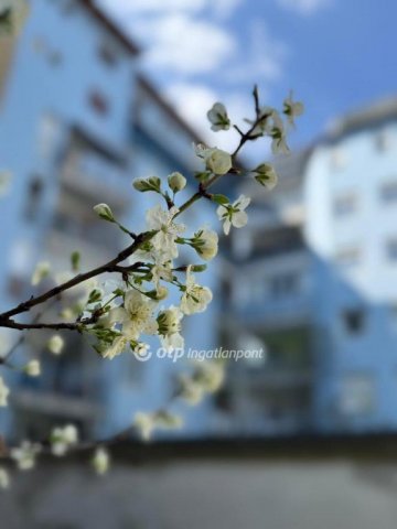 Eladó téglalakás, Budapesten, XIV. kerületben 130 M Ft, 3 szobás