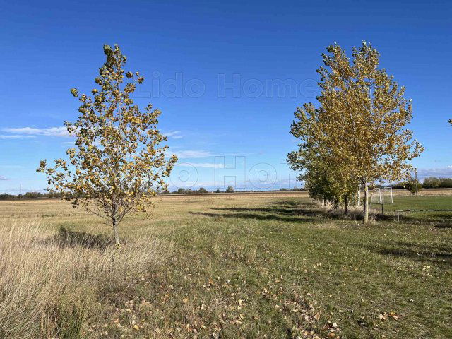 Eladó telek, Mezőörsön 16.5 M Ft / költözzbe.hu