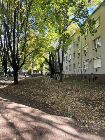 Eladó téglalakás, Gyöngyösön, Verseny utcában 29.5 M Ft