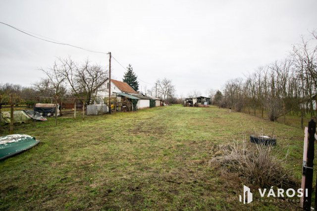 Eladó mezogazdasagi ingatlan, Orosházán 13.99 M Ft