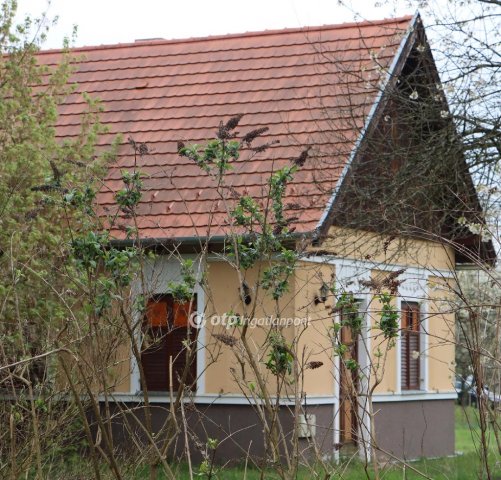 Eladó családi ház, Szalafőn 238 M Ft, 10+1 szobás