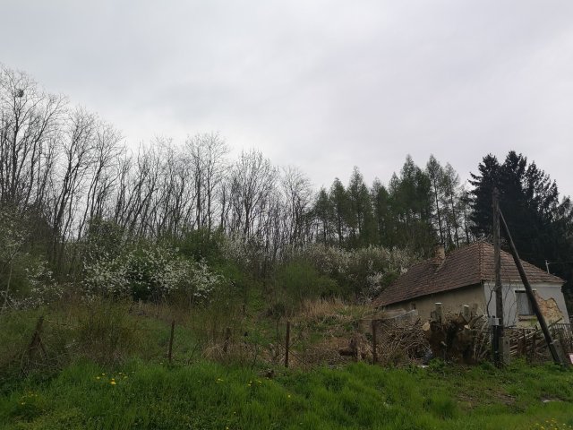 Eladó családi ház, Városlődön 32 M Ft, 2 szobás