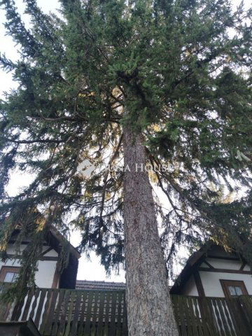 Eladó családi ház, Sopronban 126 M Ft, 2 szobás