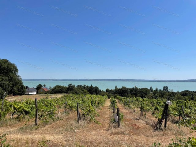 Eladó telek, Balatonszepezden 80 M Ft / költözzbe.hu