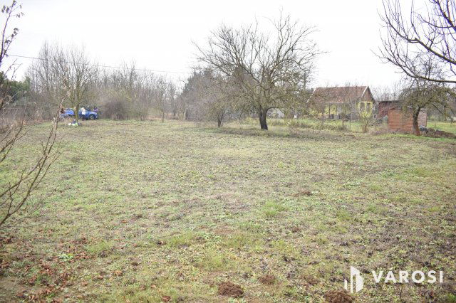 Eladó mezogazdasagi ingatlan, Gyulán 2.5 M Ft