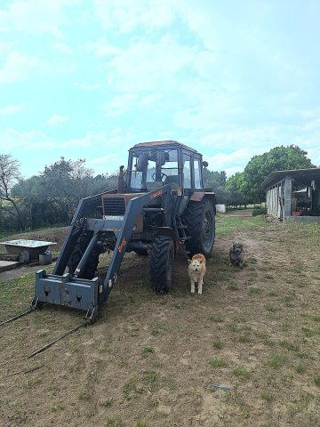 Eladó mezogazdasagi ingatlan, Baján 60 M Ft / költözzbe.hu
