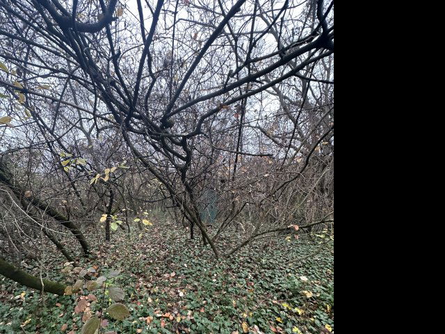 Eladó telek, Kerepesen 22 M Ft / költözzbe.hu