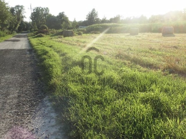 Eladó telek, Telkin 160 M Ft / költözzbe.hu