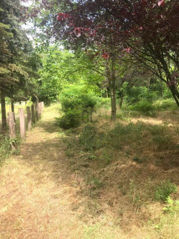 Eladó telek, Pécelen 80 M Ft / költözzbe.hu