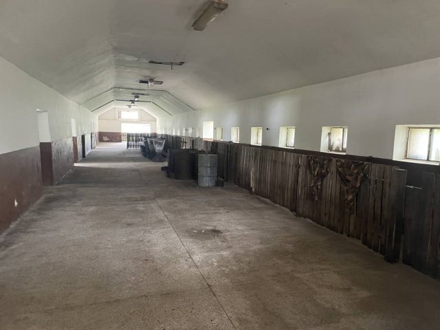 Eladó mezogazdasagi ingatlan, Lajosmizsén 120 M Ft