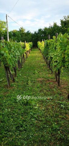 Eladó mezogazdasagi ingatlan, Magyarpolányban 15.5 M Ft