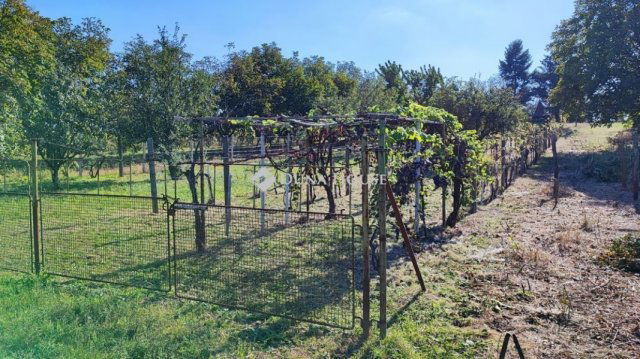 Eladó telek, Hatvanban 6.5 M Ft / költözzbe.hu