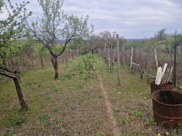 Eladó nyaraló, Biatorbágyon 14.999 M Ft, 2 szobás