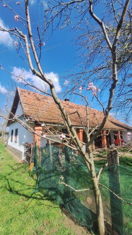 Eladó mezogazdasagi ingatlan, Jászberényben 16.99 M Ft, 1 szobás