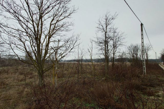 Eladó telek, Kecskeméten 9.9 M Ft / költözzbe.hu