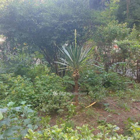 Eladó panellakás, Budapesten, XIX. kerületben 51.9 M Ft, 1 szobás