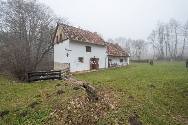 Eladó mezogazdasagi ingatlan, Pápateszéren 180 M Ft, 4 szobás