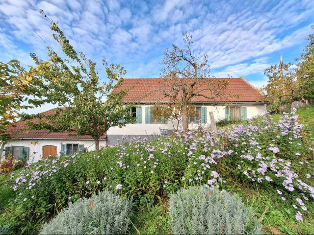 Eladó családi ház, Tapolcán 119 M Ft, 4 szobás