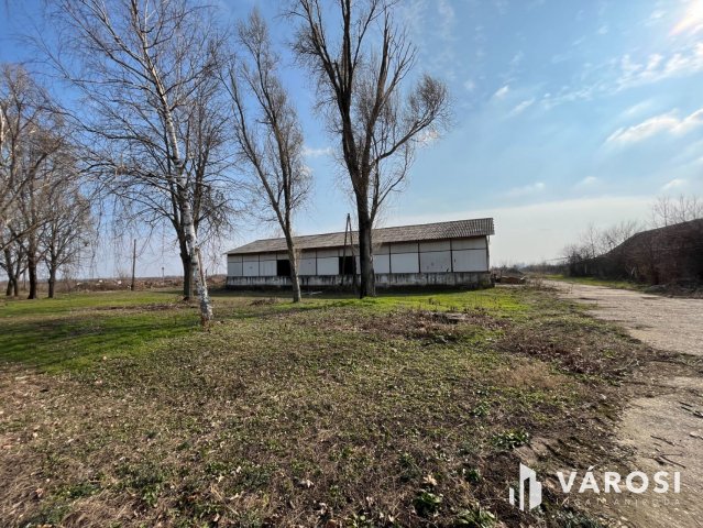 Eladó ipari ingatlan, Debrecenben 290 M Ft / költözzbe.hu