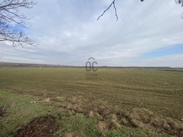 Eladó telek, Győrött 150 M Ft / költözzbe.hu
