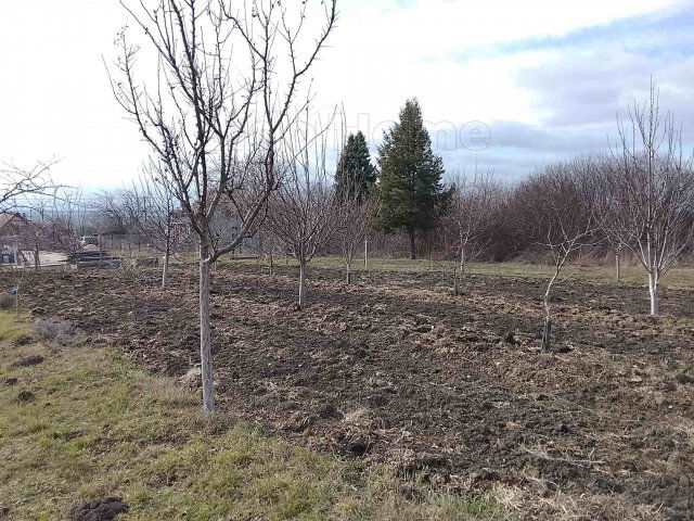 Eladó mezogazdasagi ingatlan, Bicskén 38 M Ft, 1 szobás