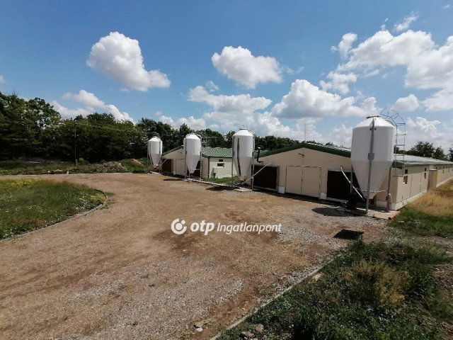 Eladó ipari ingatlan, Szentesen 200 M Ft / költözzbe.hu