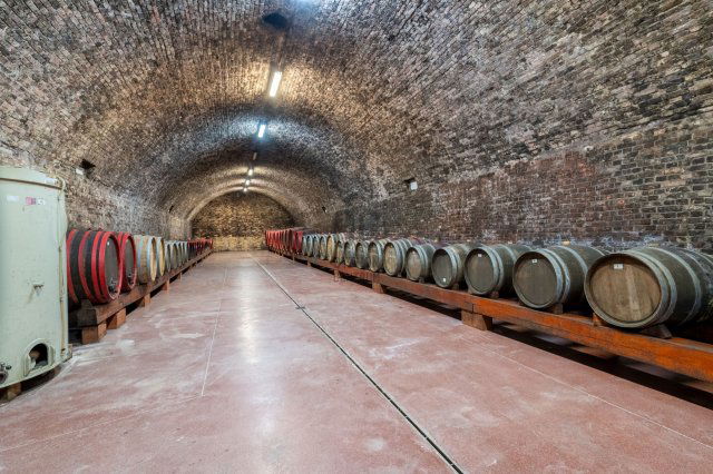 Eladó ipari ingatlan, Móron 400 M Ft / költözzbe.hu