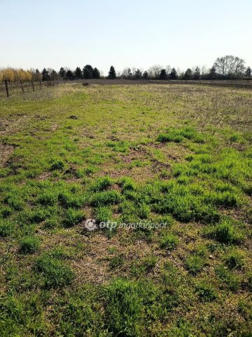 Eladó telek, Balatonvilágoson 43 M Ft / költözzbe.hu