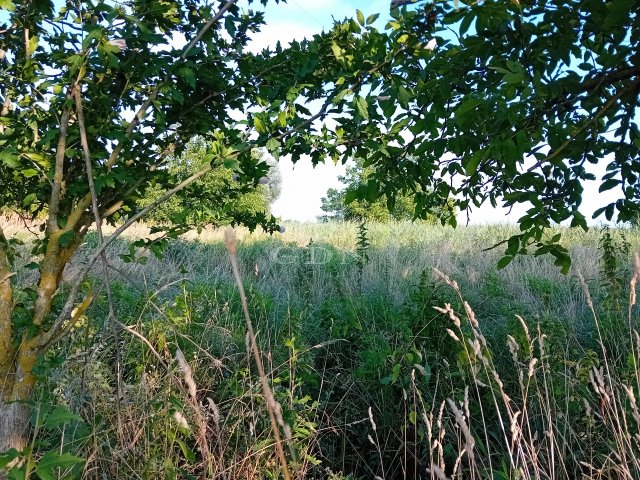 Eladó telek, Szigligeten 59 M Ft / költözzbe.hu